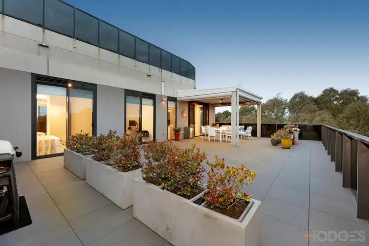 462/226 Bay Road, Sandringham VIC 3191