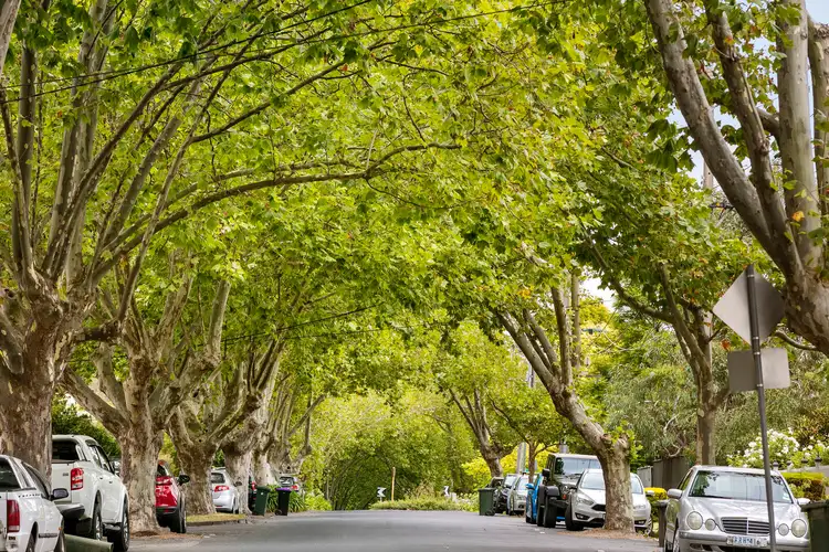 Second view of Homely apartment listing, 6/44 Alphington Street, Alphington VIC 3078