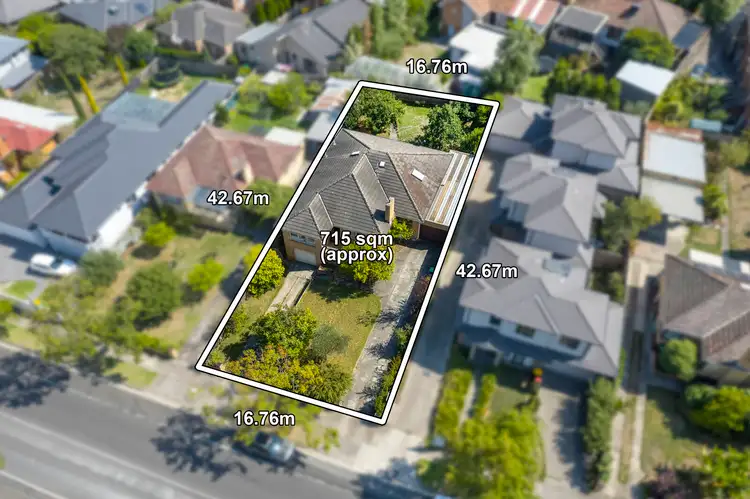 Main view of Homely house listing, 393 Springfield Road, Nunawading VIC 3131