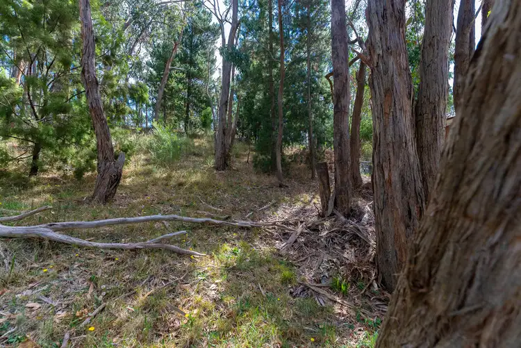 Seventh view of Homely land listing, 18 Darriwell Drive, Mount Helen VIC 3350