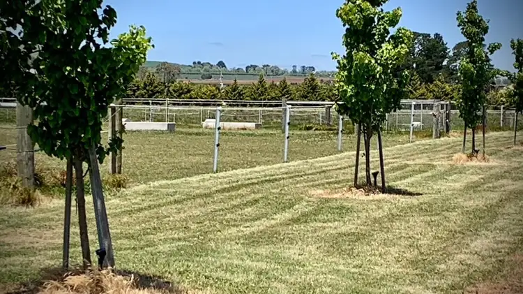 Sixth view of Homely land listing, 4000 Creswick Newstead Road, Allendale VIC 3364