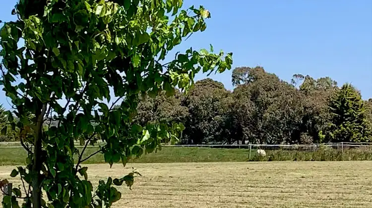 Seventh view of Homely land listing, 4000 Creswick Newstead Road, Allendale VIC 3364