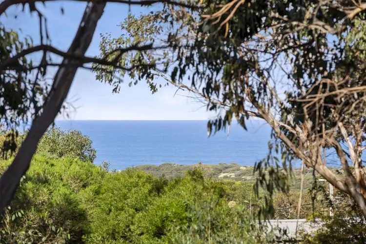 Sixth view of Homely house listing, 48 FIFTH Avenue, Anglesea VIC 3230