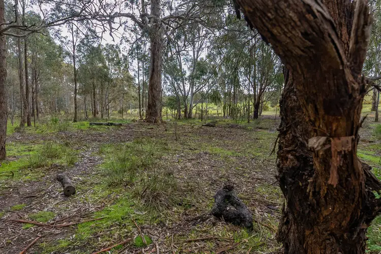 Third view of Homely rural property listing, 52 Wild Dog Track, Moonambel VIC 3478