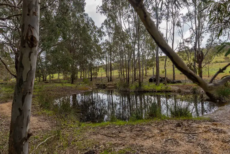 Fourth view of Homely rural property listing, 52 Wild Dog Track, Moonambel VIC 3478