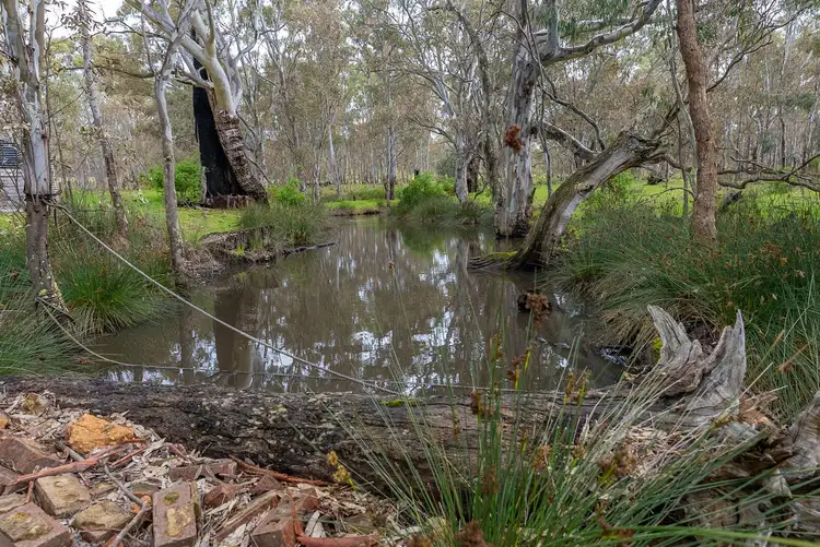 Fifth view of Homely rural property listing, 52 Wild Dog Track, Moonambel VIC 3478
