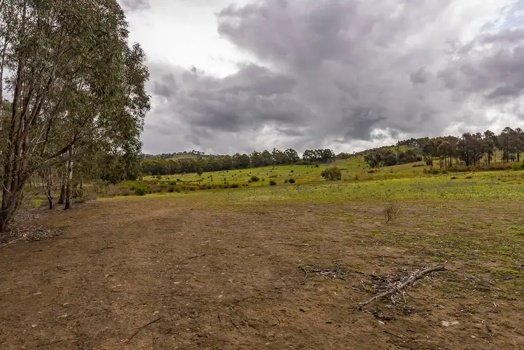 Seventh view of Homely rural property listing, 52 Wild Dog Track, Moonambel VIC 3478