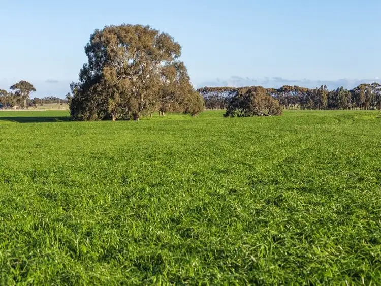 Fifth view of Homely rural property listing, 48 Dawber Road, Inverleigh VIC 3321