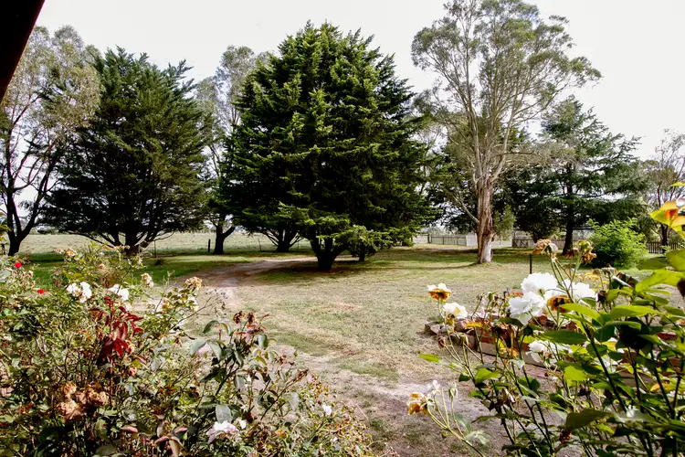 Fourth view of Homely house listing, 1340 Settlement Road, Pearsondale VIC 3851