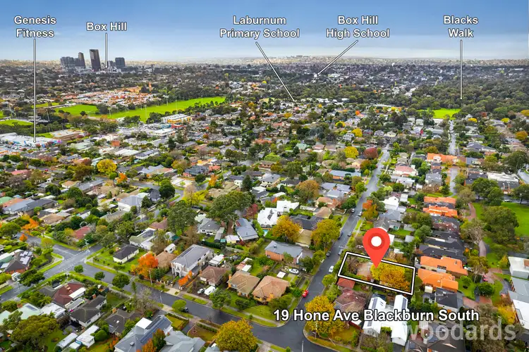 Third view of Homely house listing, 19 Hone Avenue, Blackburn South VIC 3130