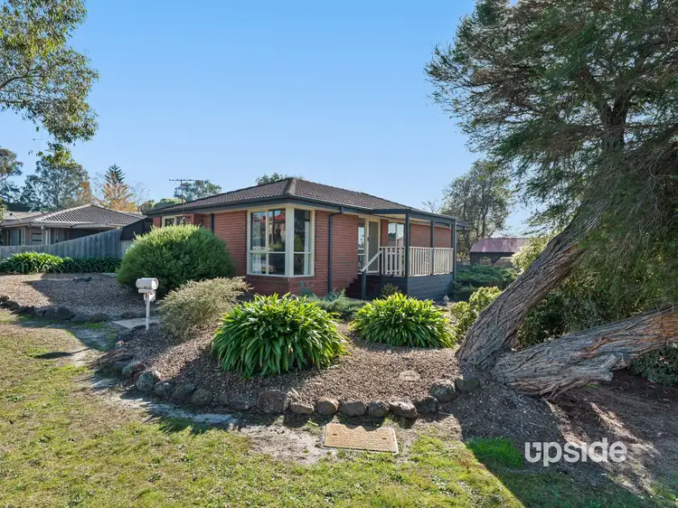 Main view of Homely house listing, 3 Warrin Rise, Langwarrin VIC 3910