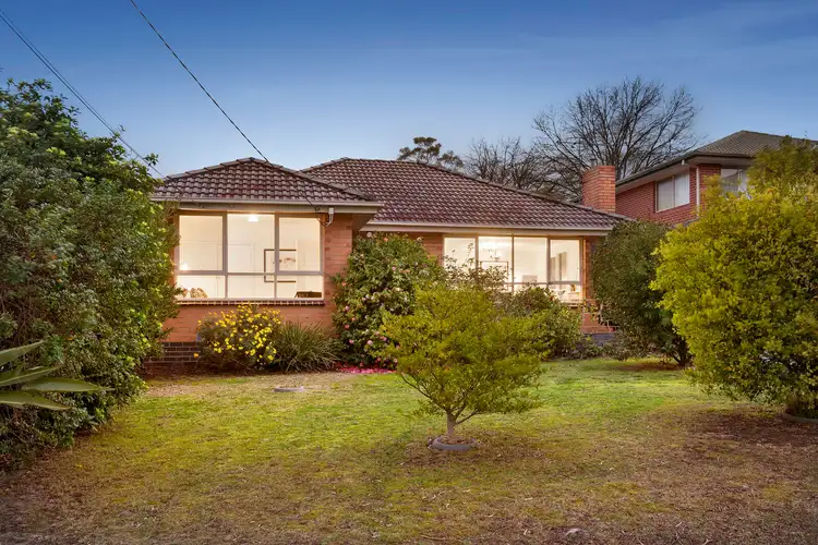 Main view of Homely house listing, 46 Hibiscus Road, Blackburn North VIC 3130
