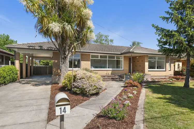 Main view of Homely house listing, 14 Kallioota Street, Alfredton VIC 3350