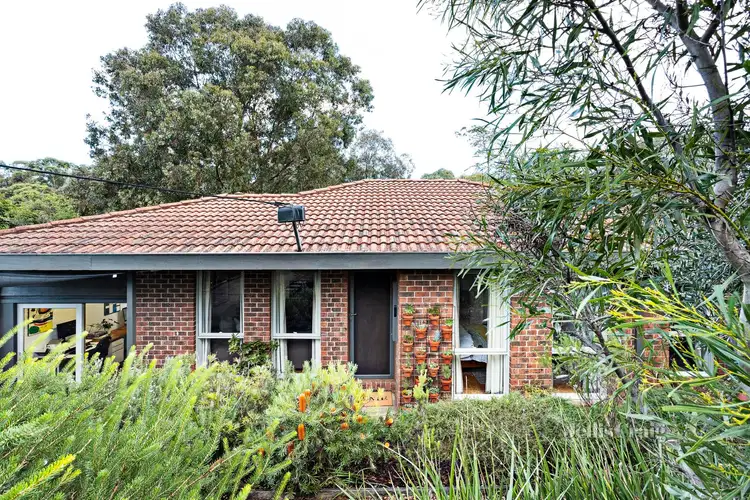 1/10 Montrose Street, Montmorency VIC 3094