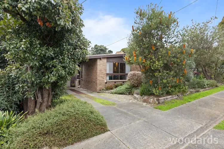 Main view of Homely house listing, 31 White Street, Mount Waverley VIC 3149