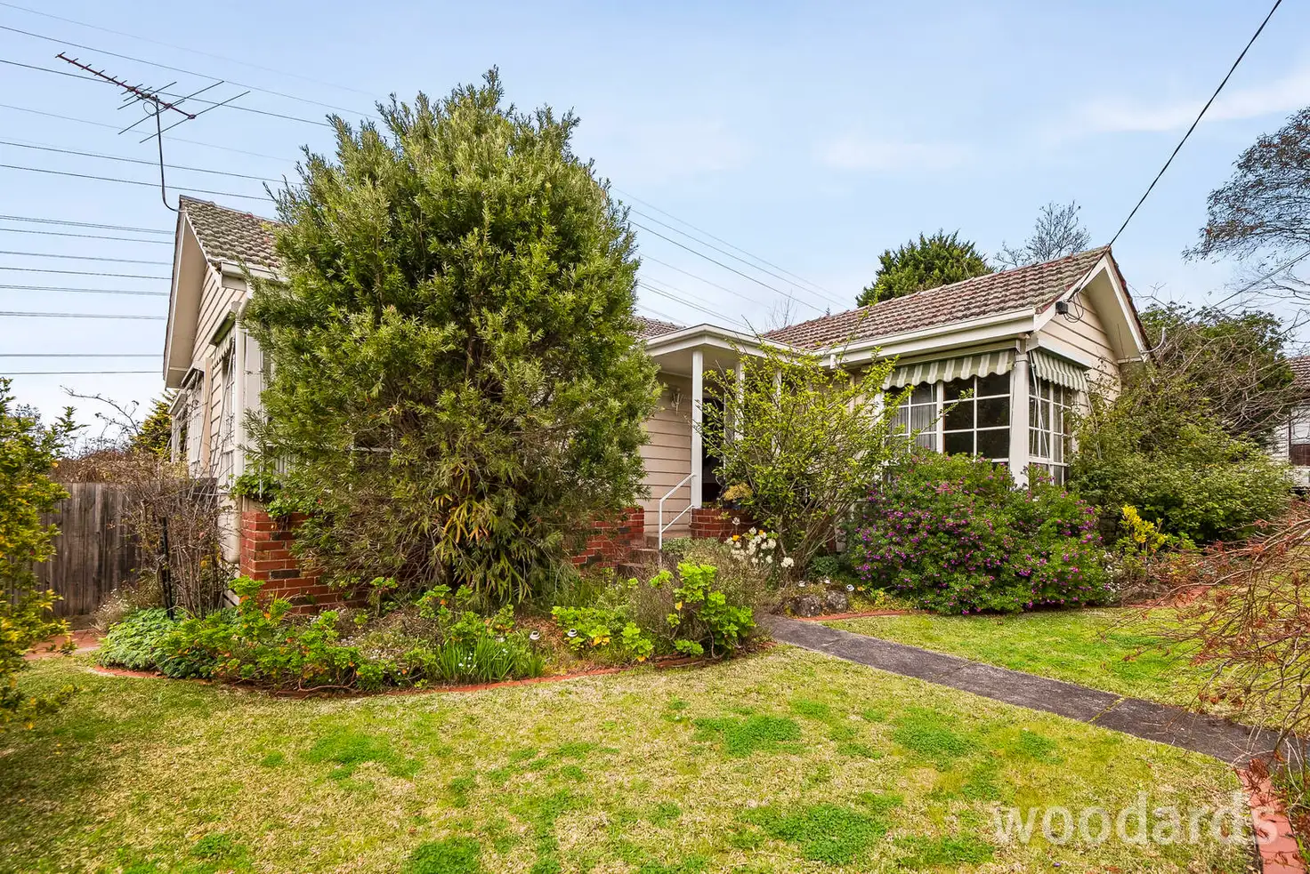 Main view of Homely house listing, 14 Birdie Street, Mount Waverley VIC 3149