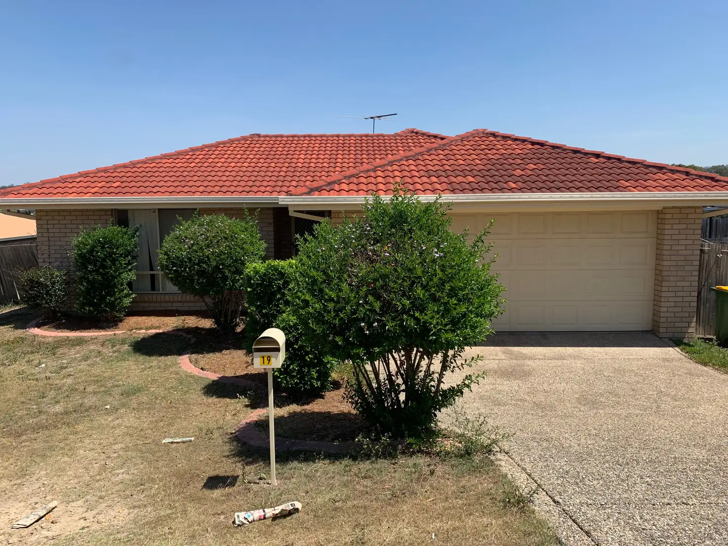Main view of Homely house listing, 19 Reedmans Road, Ormeau QLD 4208
