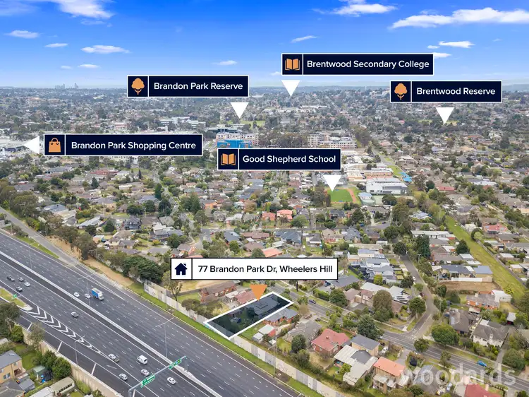 Fourth view of Homely house listing, 77 Brandon Park Drive, Wheelers Hill VIC 3150