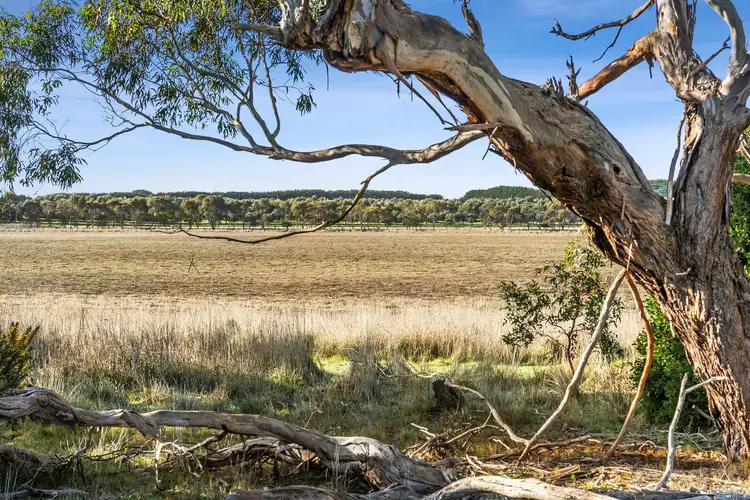 Fifth view of Homely land listing, Lot 1, LOT 1, 45-65 Raglan Street, Modewarre VIC 3240