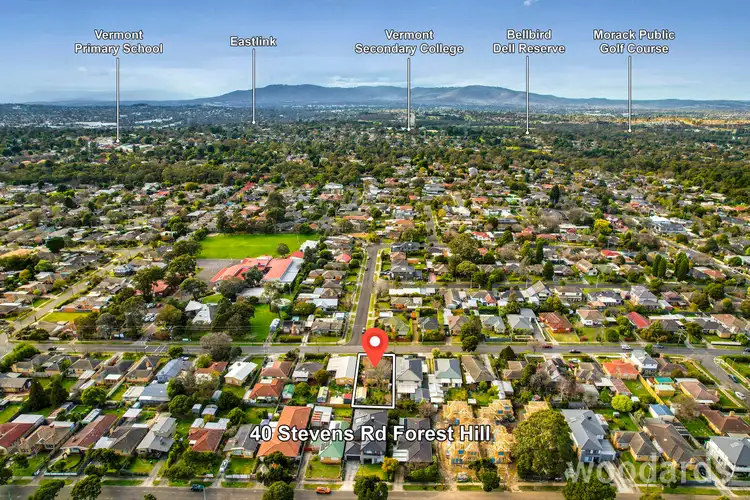 Main view of Homely house listing, 40 Stevens Road, Forest Hill VIC 3131