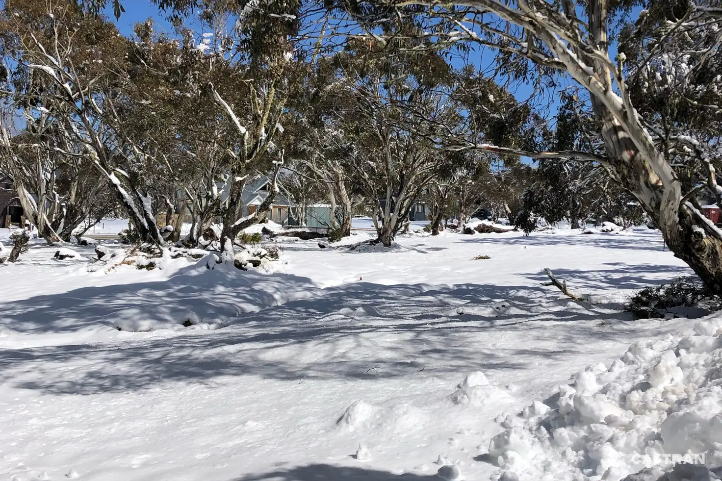 Main view of Homely land listing, 10 Youngs Top, Dinner Plain VIC 3898