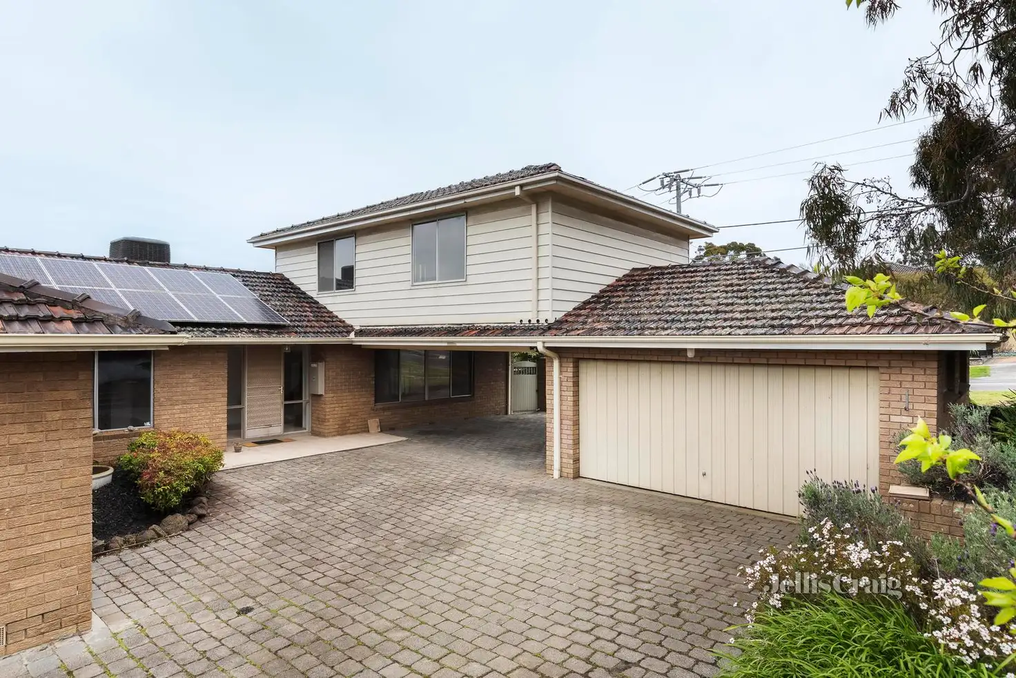 Main view of Homely house listing, 255 Yallambie Road, Yallambie VIC 3085