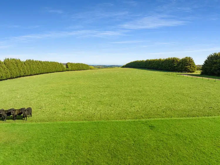 Sixth view of Homely rural property listing, 101 Meakins Road, Flinders VIC 3929