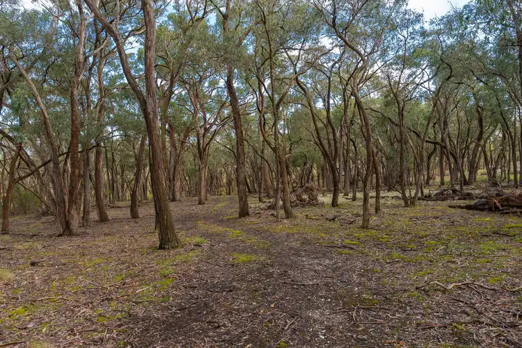 Fifth view of Homely rural property listing, Lot 11 Ferrers Road, Dereel VIC 3352