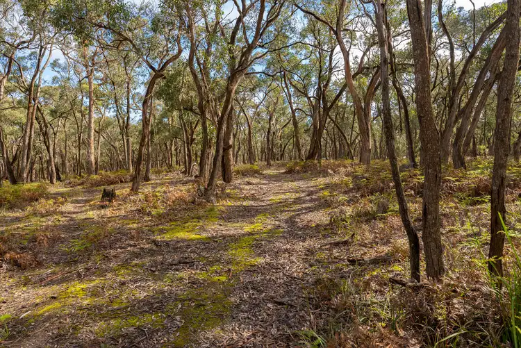 Sixth view of Homely rural property listing, Lot 11 Ferrers Road, Dereel VIC 3352