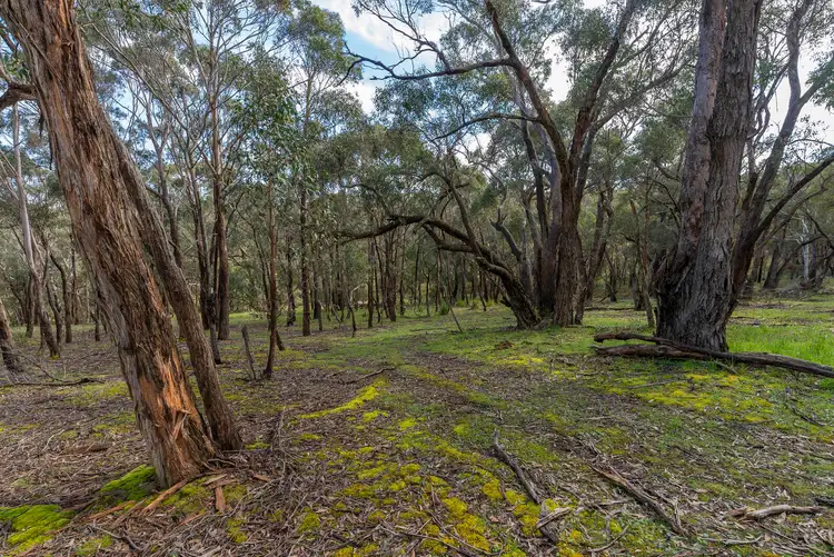 Seventh view of Homely rural property listing, Lot 11 Ferrers Road, Dereel VIC 3352