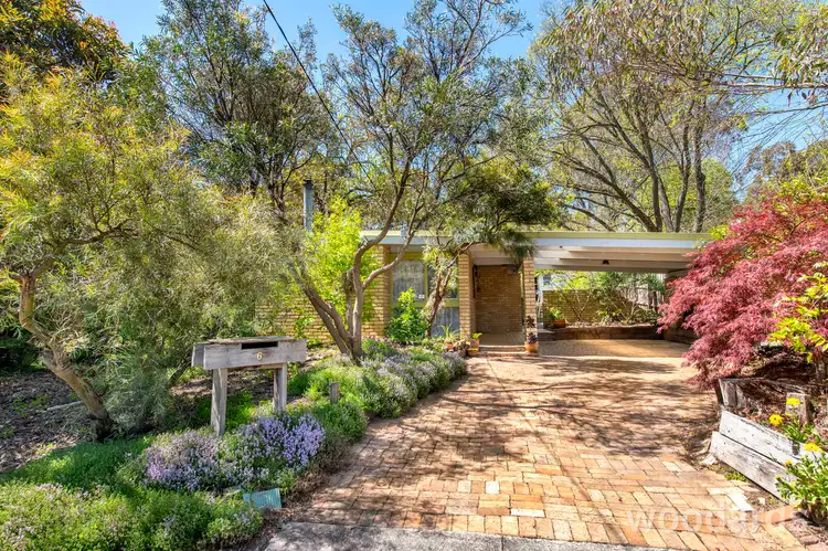 6 Halley Street, Blackburn VIC 3130