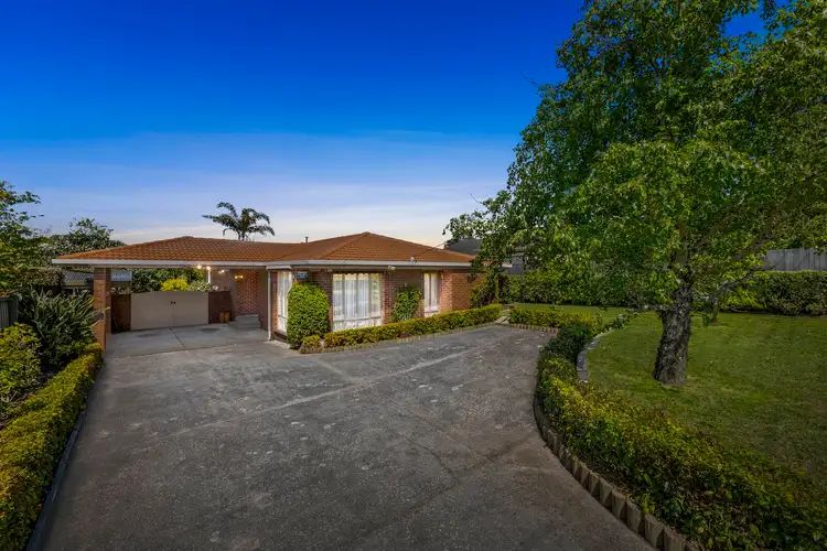 Main view of Homely house listing, 256 Waverley Road, Mount Waverley VIC 3149
