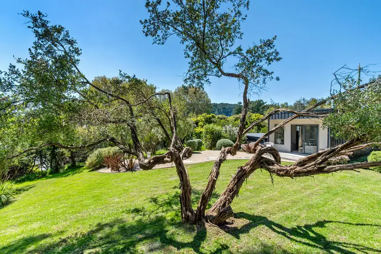Main view of Homely house listing, 16 Cape Schanck Road, Cape Schanck VIC 3939