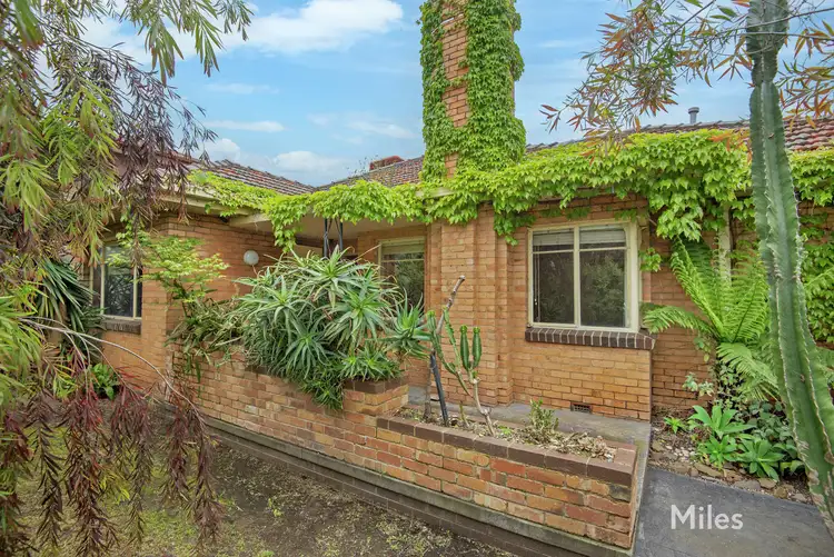 Main view of Homely unit listing, 1/294 O'Hea Street, Pascoe Vale South VIC 3044