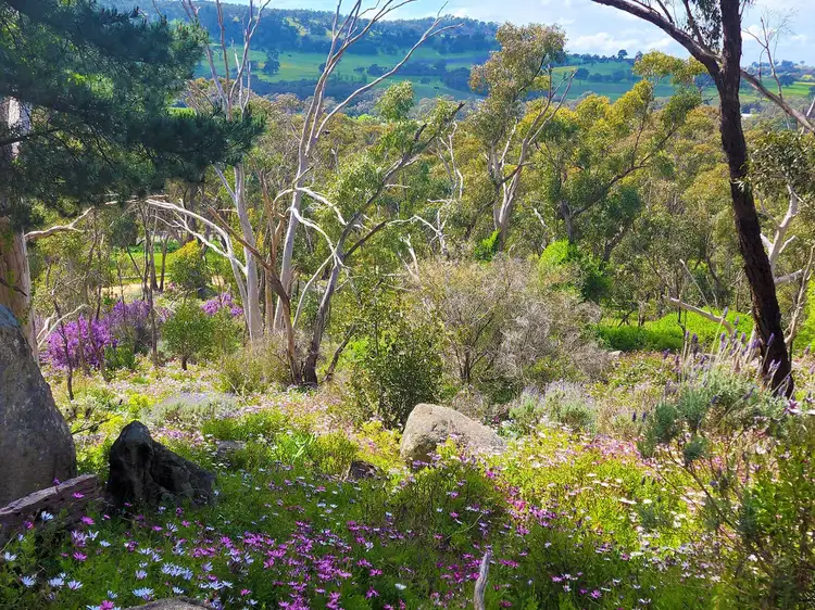 Fourth view of Homely rural property listing, 382 Specimen Gully Road, Faraday VIC 3451