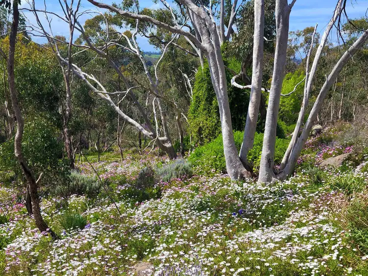 Fifth view of Homely rural property listing, 382 Specimen Gully Road, Faraday VIC 3451