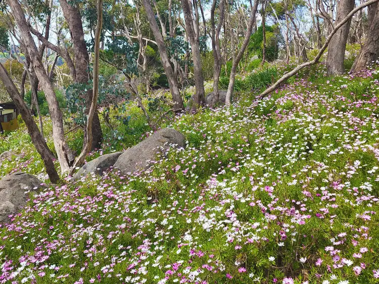 Sixth view of Homely rural property listing, 382 Specimen Gully Road, Faraday VIC 3451