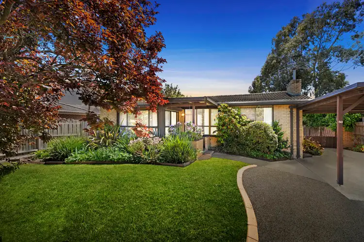 Main view of Homely house listing, 50 Pinewood Drive, Mount Waverley VIC 3149