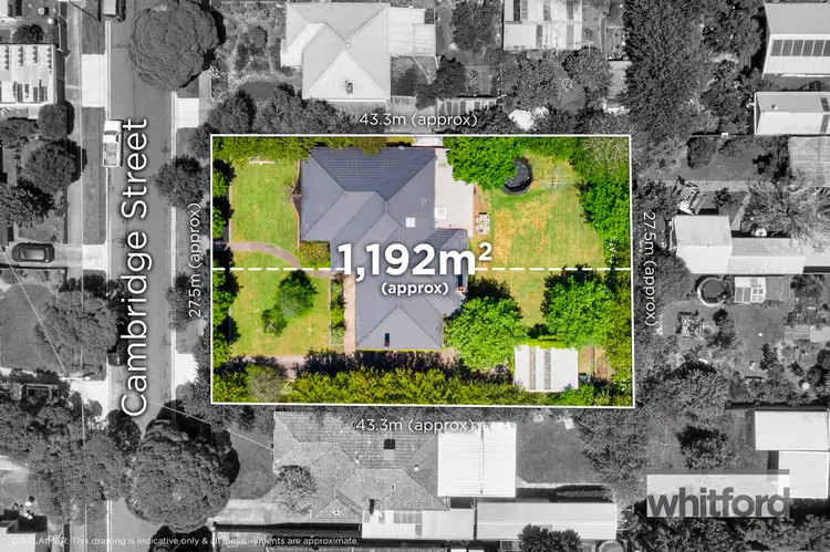 Main view of Homely house listing, 38 Cambridge Street, Belmont VIC 3216