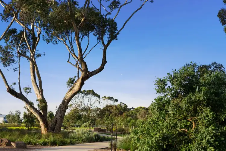 Second view of Homely house listing, 37 Capstan Crescent, Curlewis VIC 3222