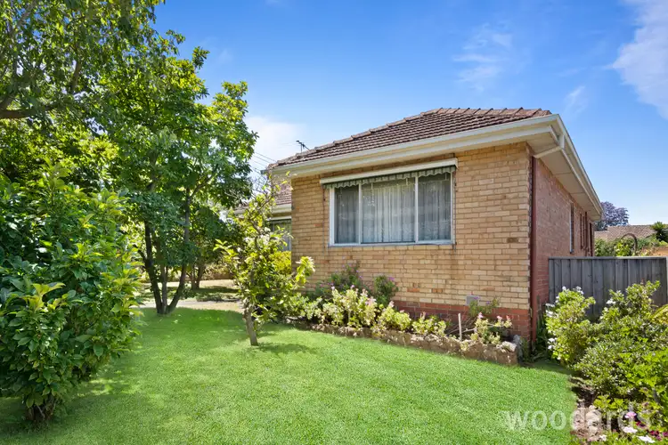 Main view of Homely house listing, 449 Warrigal Road, Ashwood VIC 3147