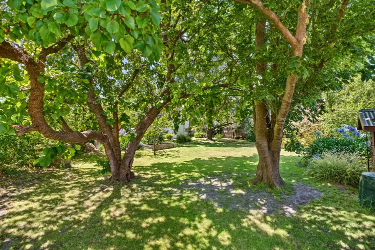 Fourth view of Homely house listing, 10 Catherine Street, Mccrae VIC 3938