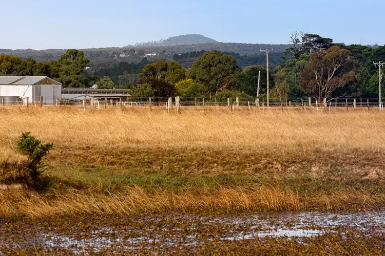 Fifth view of Homely land listing, 211 Heinzs Road, Cambrian Hill VIC 3352