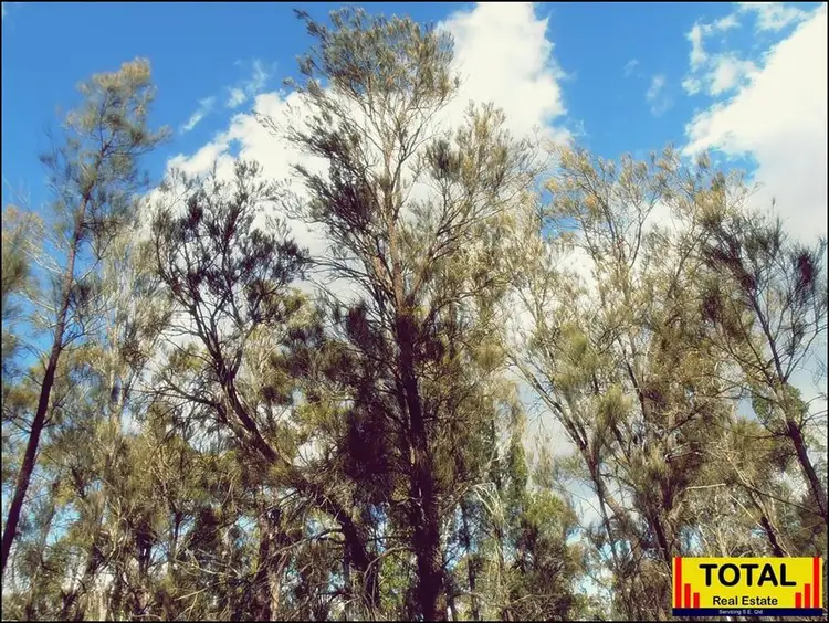 Fifth view of Homely rural property listing, LOT 55, 0 Ironbark Drive, Millmerran Woods QLD 4357