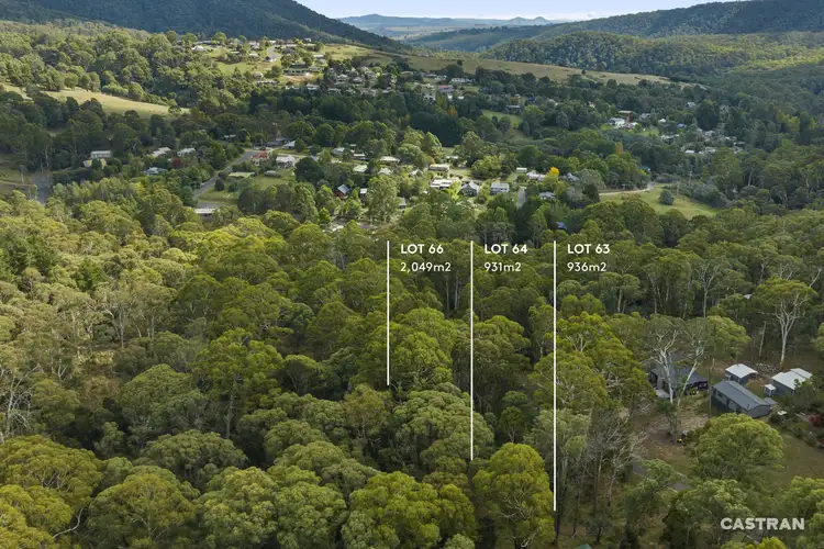 LOT 63, 64 & 66 Overflow Road, Sawmill Settlement VIC 3723