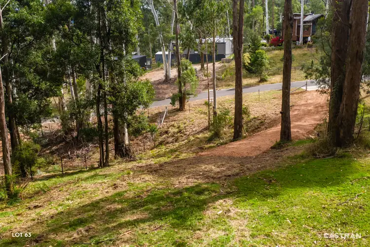 Seventh view of Homely land listing, LOT 63, 64 & 66 Overflow Road, Sawmill Settlement VIC 3723