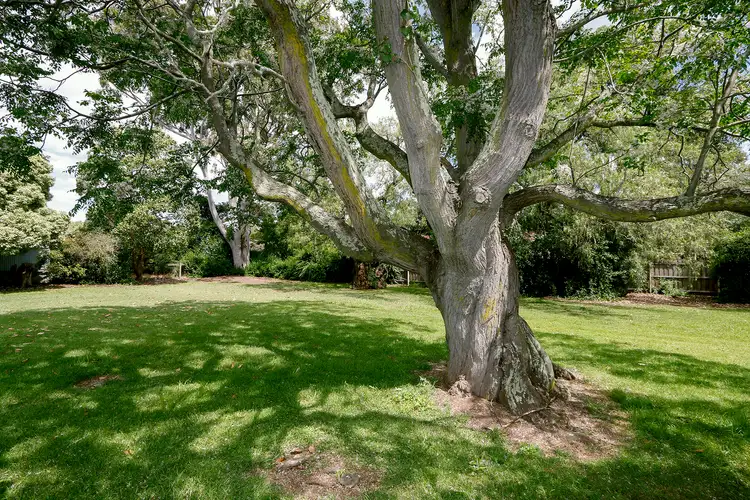 Third view of Homely house listing, 20 Inglis Street, Sale VIC 3850