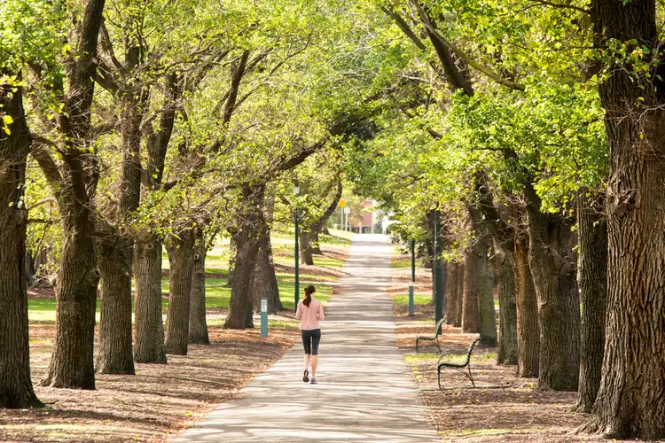 Sixth view of Homely apartment listing, 22/26 Toorak West Road, South Yarra VIC 3141