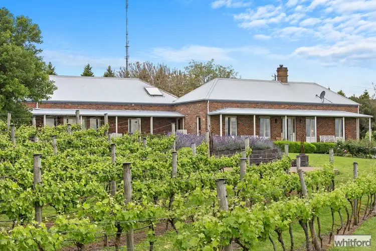 Fourth view of Homely rural property listing, 221-229 Whitcombes Road, Drysdale VIC 3222