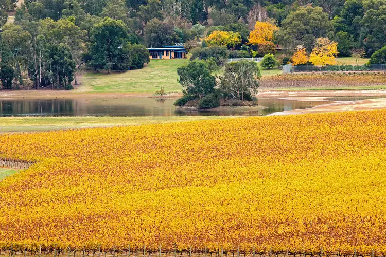 Second view of Homely rural property listing, 76 Boundary Road, Coldstream VIC 3770